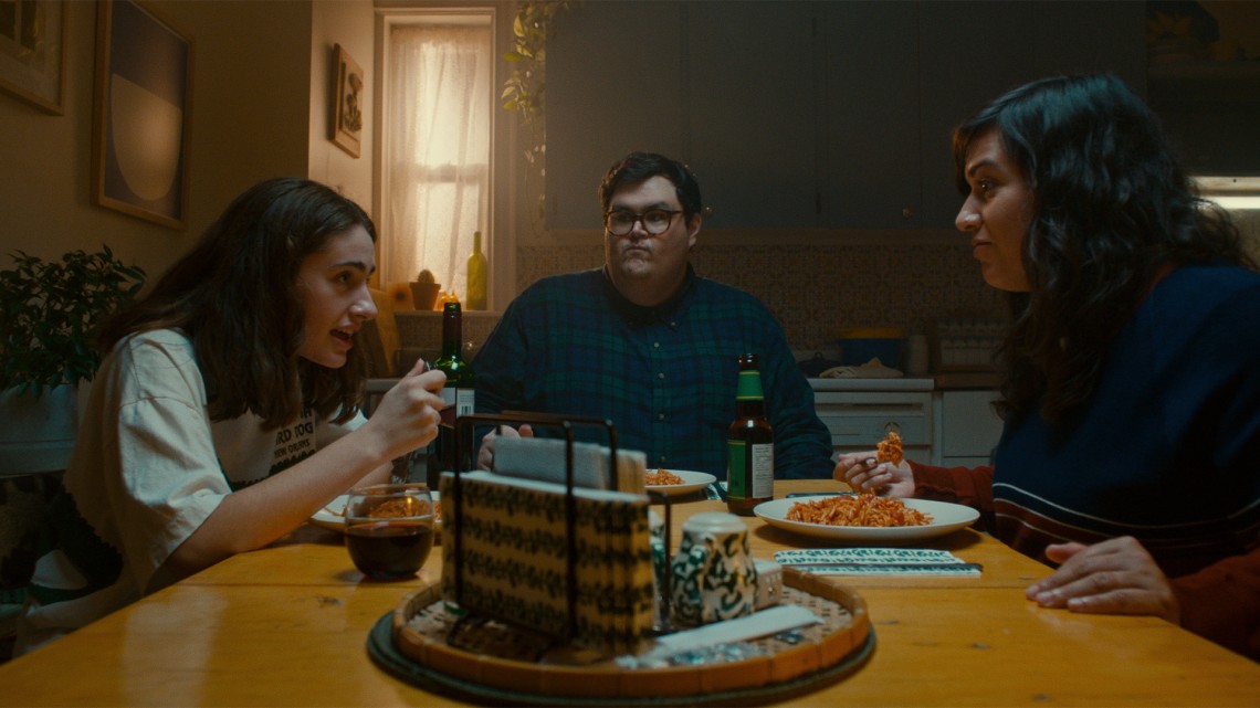 Pankiw_Ally_I Used To Be Funny_Still_3