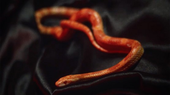 Global__Lefa Feat. Orelsan_Potentiel