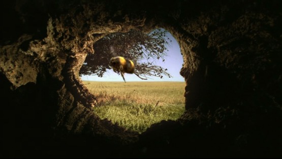 Hoene_Matthias_Kelloggs_Clocking In