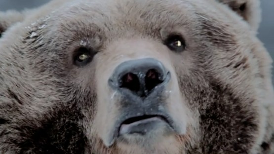 Screen_Shot_2014-12-11_at_13.49.18