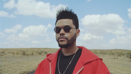 Helman_David M._Puma_XO Drop 1-new