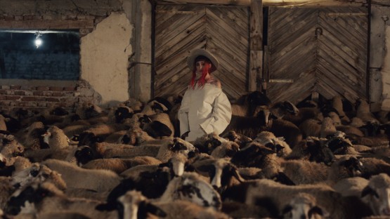 Avital_Allie_Hundred Waters_Wave to Anchor